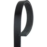 5K446 Ac Delco Serpentine Belt For Chevy Express Savana Audi S6 S8 Sorento. Fixed Price $33.95.