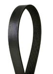 Serpentine Belt-metric Line Continental Elite 6K2535. Fixed Price $50.51.