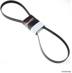Gates 15550AP Automotive High Capacity V-belt-ipd. Fixed Price $45.61.