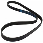 JK6556B Motorcraft Serpentine Belt Ford Escape Mercury Mariner 2006-2009. Fixed Price $44.46.