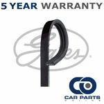 Gates V-ribbed Belts Fits Lexus Is (1999-2005) GAT2801. Fixed Price $15.80.