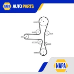 Timing Belt 5701XS Gates 636595 55485931 859715701 Genuine Quality Guaranteed. Fixed Price $38.71.