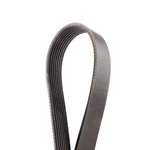 Dayco 5060430DR Ribbed, Drive Rite Traditional. Fixed Price $36.66.
