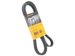Continental 99610215167 Belt Porsche 911 Boxster. Fixed Price $33.76.