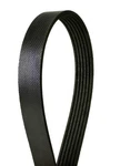 Continental Serpentine Belt For Raider, C36 Amg, B4000 6K2223. Fixed Price $42.76.