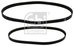 Febi Bilstein 40858 V-ribbed Belt Set Fits Ford Fiesta Fusion. Fixed Price $41.58.