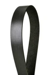 Serpentine Belt-multi-v Continental Elite 4080525. Fixed Price $43.50.