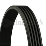 V-ribbed Belt Continental Ctam 5PK1180 For Toyota Avensis. Fixed Price $32.22.