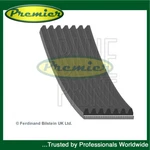 Premier Alternator Belt Fits Nissan Pathfinder Cabstar Navara 2.5 Dci. Fixed Price $36.67.
