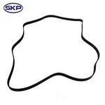 Serpentine Belt Skp SK060956. Fixed Price $24.49.
