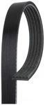 Serpentine Belt. Fixed Price $18.25.