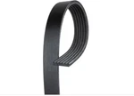 Accessory Drive Belt-high Capacity V-belt(standard) Gates 9355. Fixed Price $15.00.