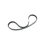 Ford CV6Z*8620*B Belt. Fixed Price $58.17.