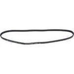 Serpentine Belt-protune Autopart Intl 1602-360036. Fixed Price $24.99.