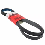 Genuine Ford Serpentine Belt 1L5Z-8620-AC. Fixed Price $49.36.