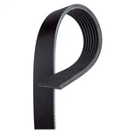 Genuine Acdelco For Dodge Ram 2500/3500 1997-2002 Serpentine Belt Standard. Fixed Price $66.17.