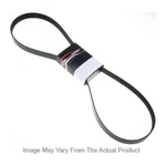 6K420AP Gates Drive Belt For Vw Series Volkswagen Golf Jetta Passat Beetle A3. Fixed Price $27.01.