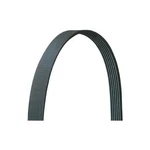 Dayco 5080655DR Ribbed, Drive Rite Traditional. Fixed Price $35.87.