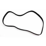 241-4981 Belt Suitable For Caterpillar Shipping From Texas Miami Distribution. Fixed Price $32.51.