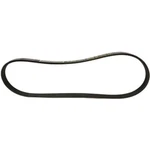 JK4331 Motorcraft Serpentine Belt Ford Mustang 2015-2020. Fixed Price $33.21.