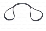 Bosch 1 987 945 736 V-ribbed Belt For Mercedes-benz. Fixed Price $26.82.