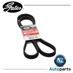V-ribbed Belt 6DPK1825 Gates 30731811 30731862 9458469 8692141. Fixed Price $28.06.