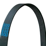 For Mack Mr 2000 Dayco 5100600 Gold Label Poly Rib Heavy Duty Belt. Fixed Price $51.61.