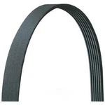 Serpentine Belt Drive-rite 5061090DR. Fixed Price $39.14.