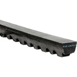 Acdelco 15660 High Capacity V Belt. Fixed Price $48.80.