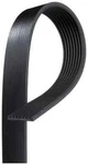 Serpentine Belt Gates K081131. Fixed Price $79.75.