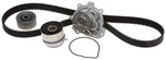 Engine Timing Belt Kit With Water Pump-gas Acdelco TCKWP338. Fixed Price $179.00.
