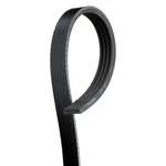 Ford Expedition 15-18 Professional Stretch Fit V-ribbed Serpentine Belt. Fixed Price $27.71.
