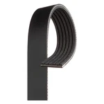 Acdelco 6K1395A V Ribbed Belt Serpentine, Standard, Rubber. Fixed Price $158.46.