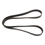 Continental Ag 4081360 Automotive Multi Belt. Fixed Price $98.61.