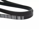 Genuine Mopar Accessory Drive Belt 53013209AD. Fixed Price $27.05.