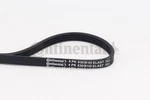 Continental Ctam 4PK830 Elast V-ribbed Belt For Bmw. Fixed Price $17.11.