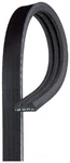 Serpentine Belt. Fixed Price $21.49.