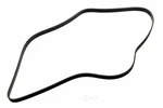 Serpentine Belt. Fixed Price $49.43.
