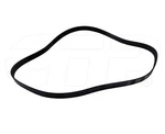 3900536 Belt-serpentine Fit Caterpillar 416F 420F 422F 428F 430F 432F 434F 444F. Fixed Price $22.38.