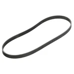 2004-2006 Nissan Sentra Fan Compressor & Power Steering Belt Oem 11720-4Z80B. Fixed Price $35.74.
