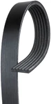 Carquest/gates Serpentine Belt K060645. Fixed Price $27.99.
