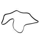 For Chevy Silverado 1500 Hd Classic 07 Skp Serpentine Belt Anti-slip Shield. Fixed Price $13.08.