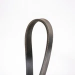 Dayco 5060500DR Ribbed, Drive Rite Traditional. Fixed Price $31.53.