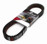 Gates G-force Belt 44G3569. Fixed Price $142.79.