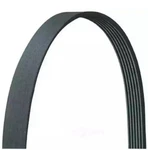 Dayco 5060805DR Serpentine Belt. Fixed Price $19.99.