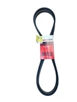 New Motorcraft JK6-1013-B Serpentine Belt For F250 Truck Fast Shipping. Fixed Price $32.00.