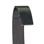Serpentine Belt Dayco 6100741. Fixed Price $110.99.