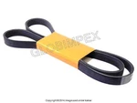 Bmw E60 (91-05) Belt For Alternator, Water Pump, Power Steering 6K X 1562 Oem. Fixed Price $42.40.