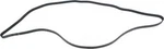 Serpentine Belt-protune Autopart Intl 1602-360376. Fixed Price $33.95.