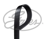 Gates 8PK942EST V-ribbed Belt For Bmw. Fixed Price $26.72.